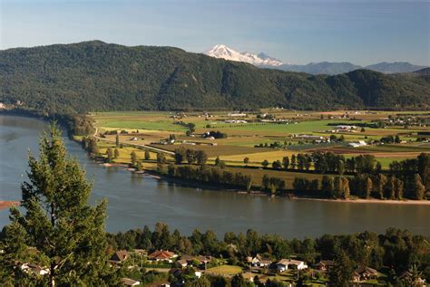 private investigator abbotsford|TOP 10 BEST Private Investigation in Abbotsford, BC .